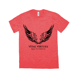 Vital Virtues - Bella + Canvas 3413C Unisex Tri-Blend Crew 