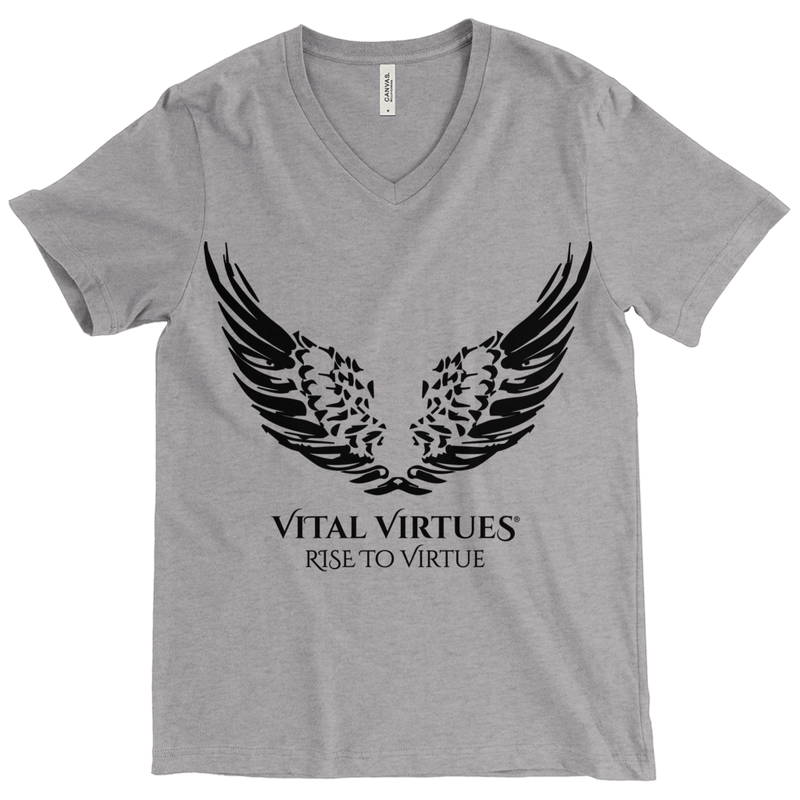   Vital Virtues - Bella+Canvas 3415 Unisex Tri-Blend Short Sleeve V-Neck Tee Grey